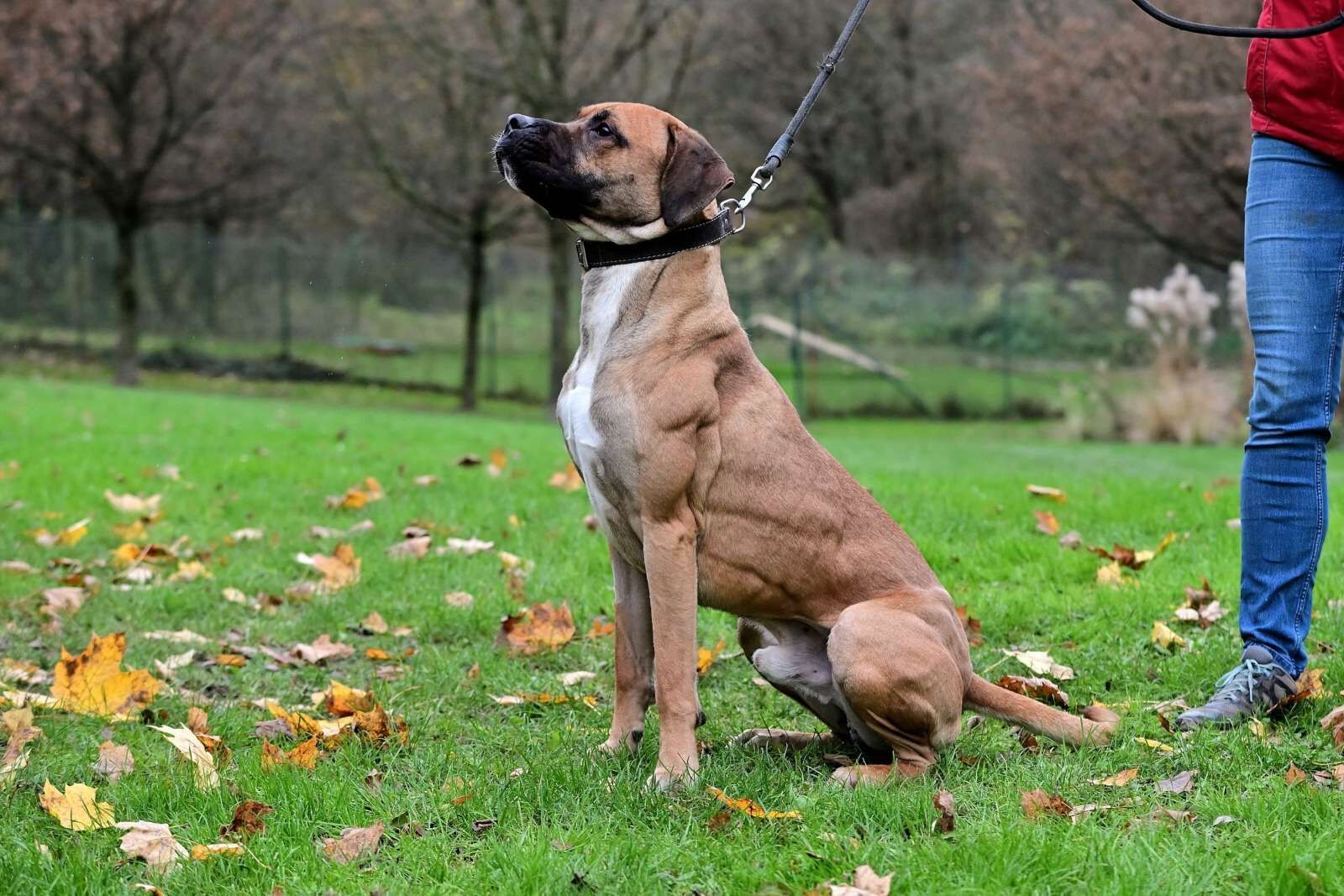 utulek 11 2025male--037